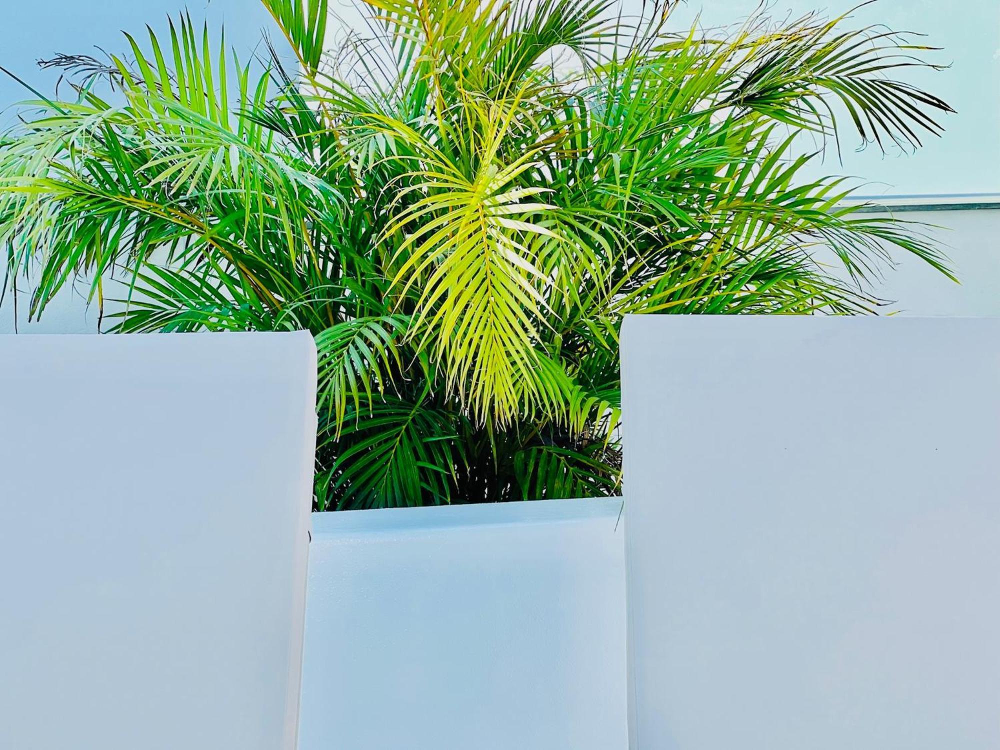 Cih Apartments Puerto del Carmen  Exteriér fotografie